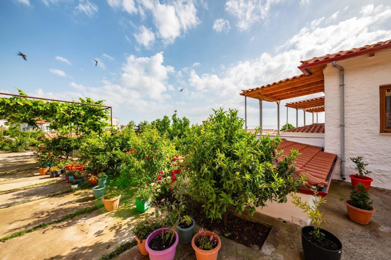 Guest House Luiza บอร์ช ภายนอก รูปภาพ